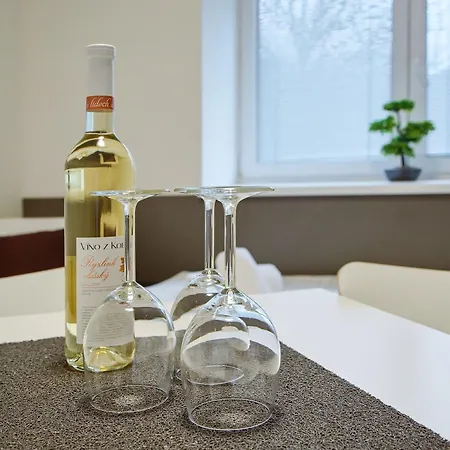 Guest house Ms Iihs 2024 Ostrava